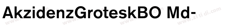 AkzidenzGroteskBO Md字体转换